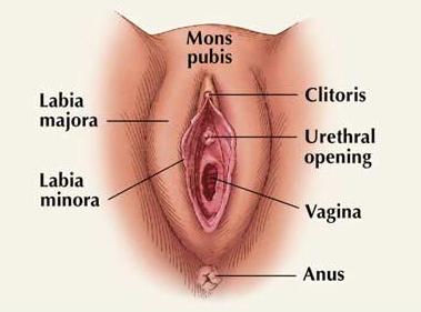are not right. africa italian handjob dick load cumm on face excellent variant